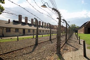 Concentration camp barbed wire
