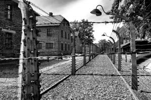 auschwitz concentration camp barbed wire