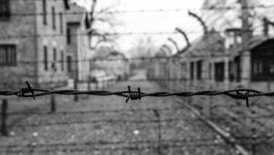 koncentracne tabory pocas 2 svetovej vojny