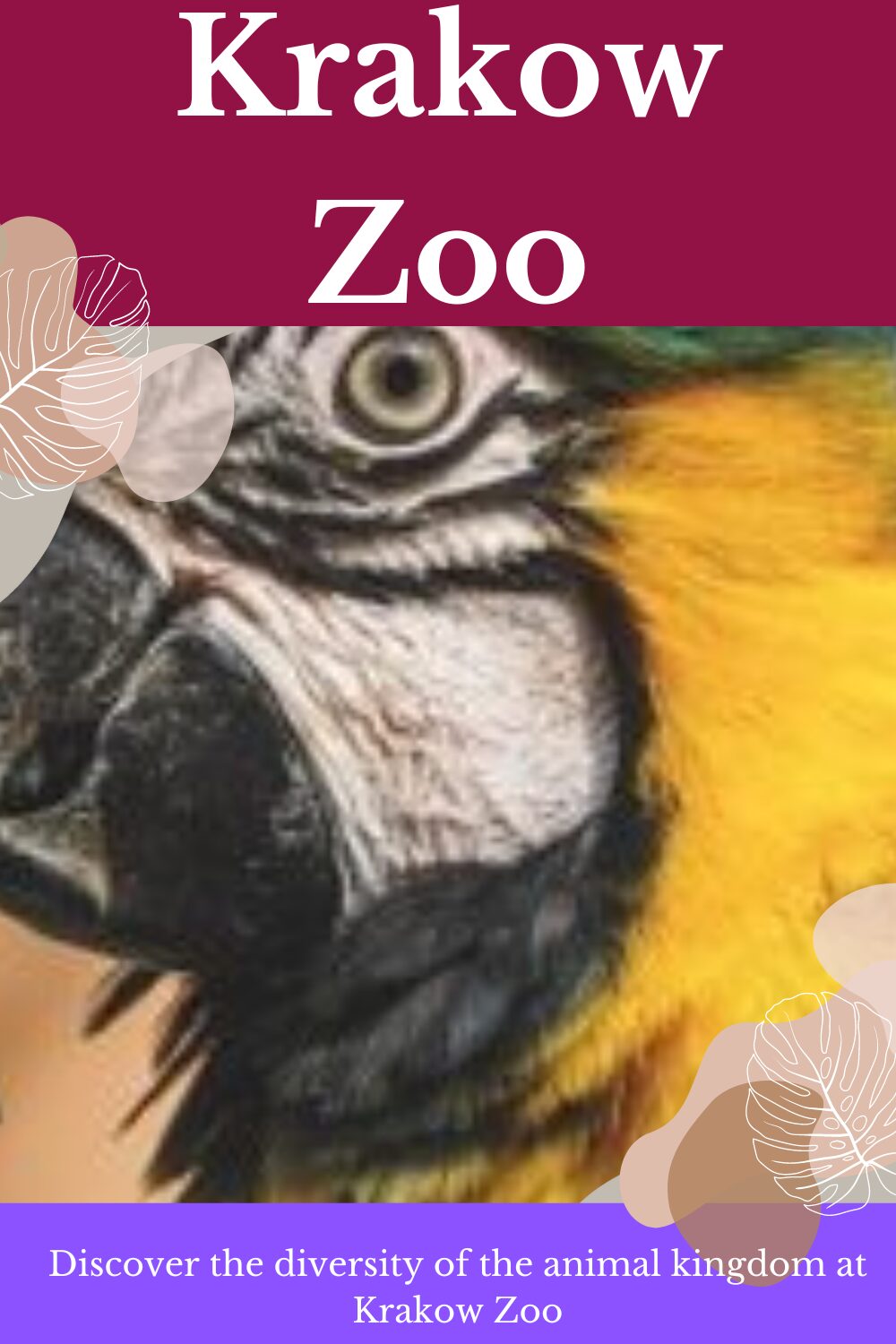 Animal kingdom at Krakow Zoo