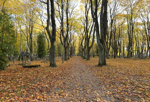Park Bednarskiego in Krakow