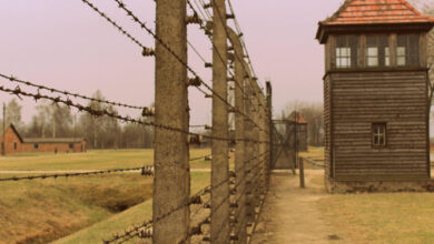 Auschwitz and Salt Mines Combined Tour