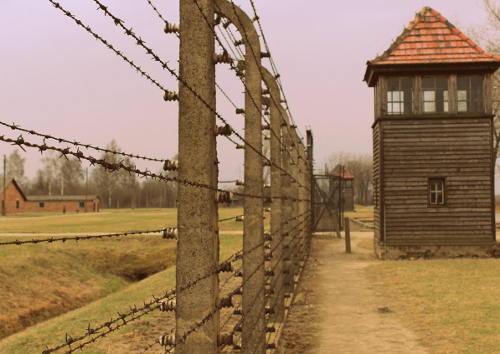Auschwitz and Salt Mines Combined Tour