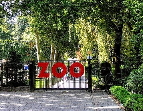 Krakow Zoo with Hotel Pickup Tour
