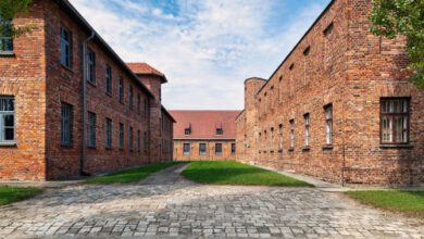 Auschwitz Tour Packages