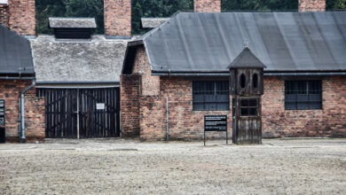 Auschwitz What to Expect During Your Visit