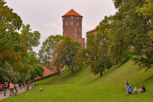 Wawel in summer