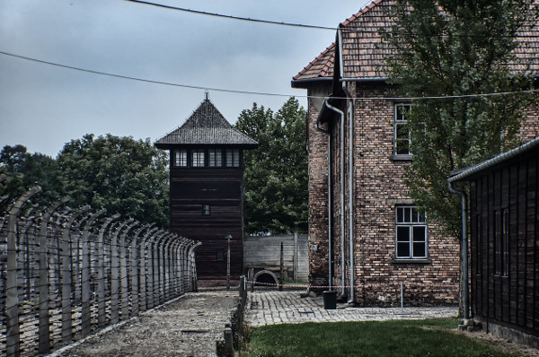 what to expect from auschwitz