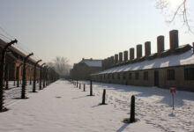 Auschwitz Tour February Guide