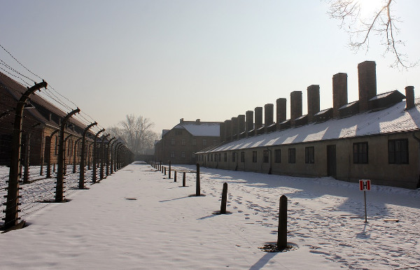 Auschwitz Tour February