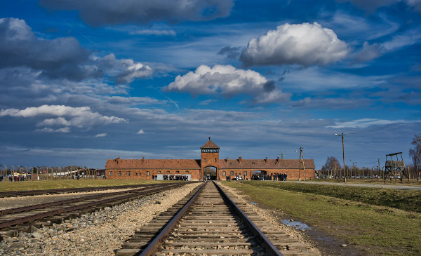 Auschwitz-Birkenau Memorial Tour with Optional Lunch