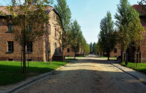 Auschwitz-Birkenau Memorial with Optional Lunch Tour Overview