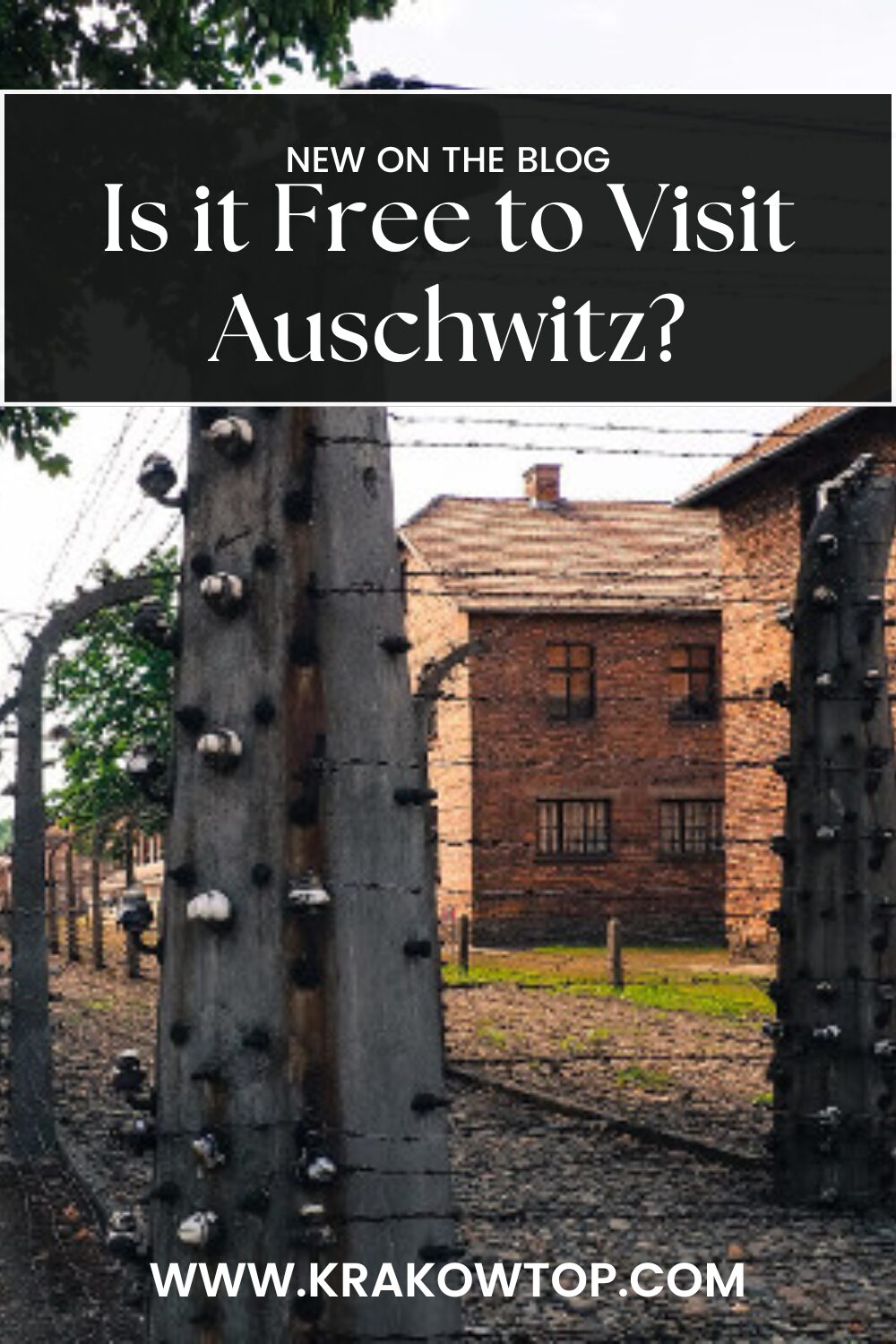Cost of Visit to Auschwitz