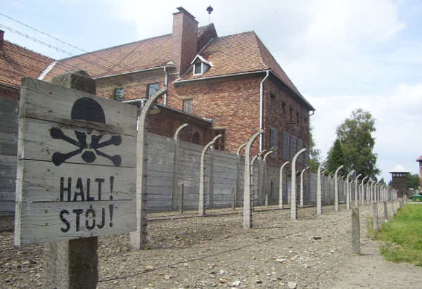 Full-Day Guided Tour to Auschwitz-Birkenau from Krakow