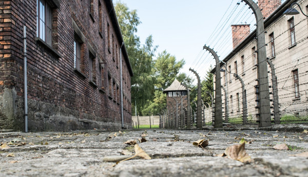 How many days do you need to visit Auschwitz