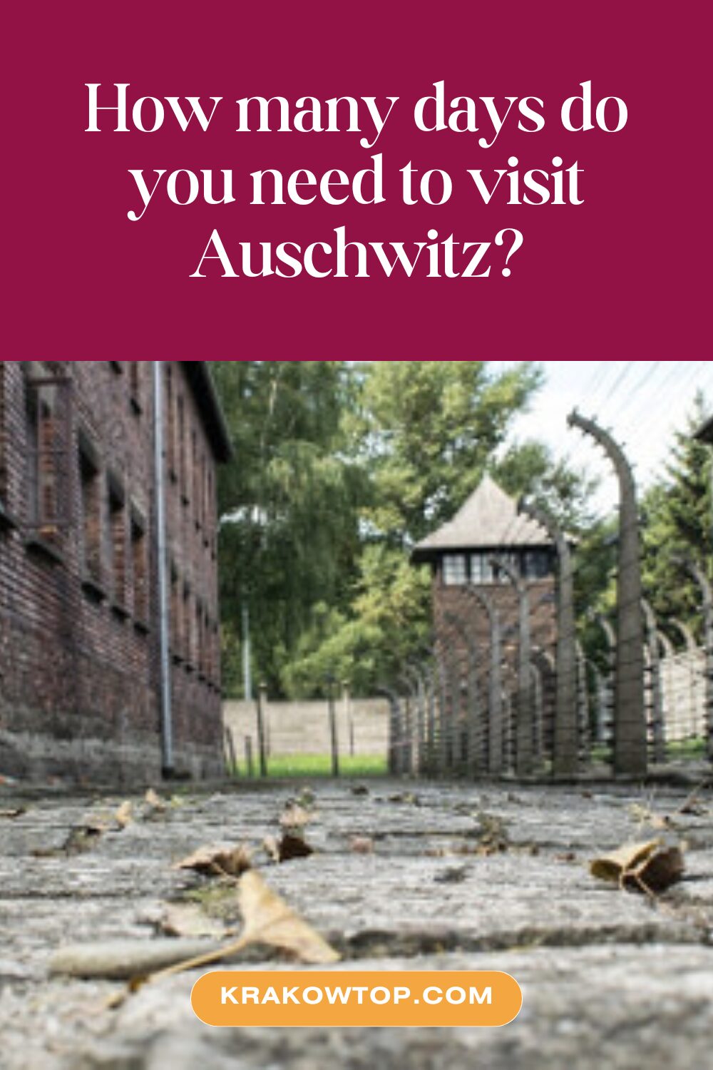 Planning Your days for Auschwitz visit