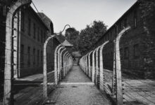 Auschwitz April Tour