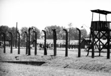Auschwitz Guided Tours for Individual Visitors