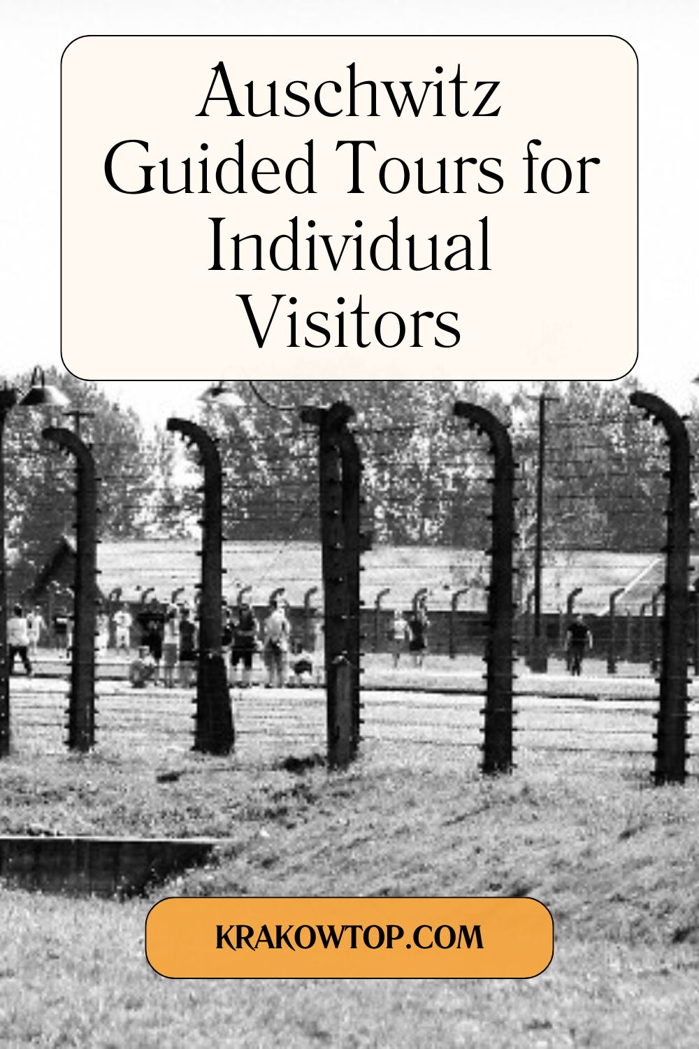 Auschwitz Guided Tours for Solo Travelers
