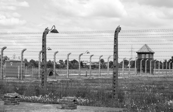 Booking Auschwitz Guided Tours for Individual Visitors